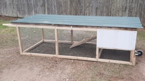 The Best Rabbit Tractor for Homesteaders - Homestead Rabbits