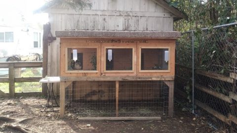 Raise Meat Rabbits: Quick Start Guide - Homestead Rabbits