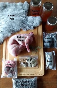 What Do You Get From a Meat Rabbit? - Homestead Rabbits