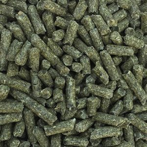 Raise Meat Rabbits: Quick Start Guide - Homestead Rabbits